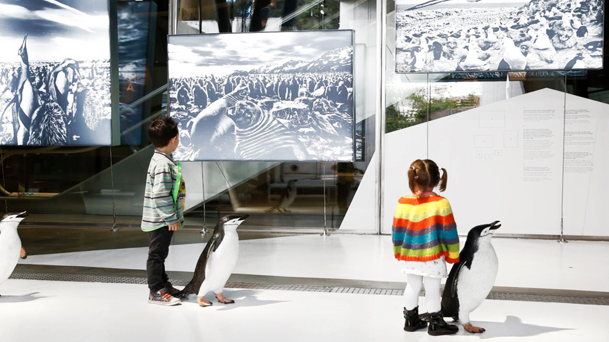 Base Antártica y Exposición Génesis en CosmoCaixa.